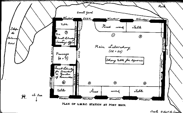 plan of station